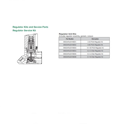 M503AR428759006 NUMATICS/AVENTICS SANDWICH REGULATOR REPAIR KIT<BR>503 SERIES 0.7-9 BAR (10-130 PSI)